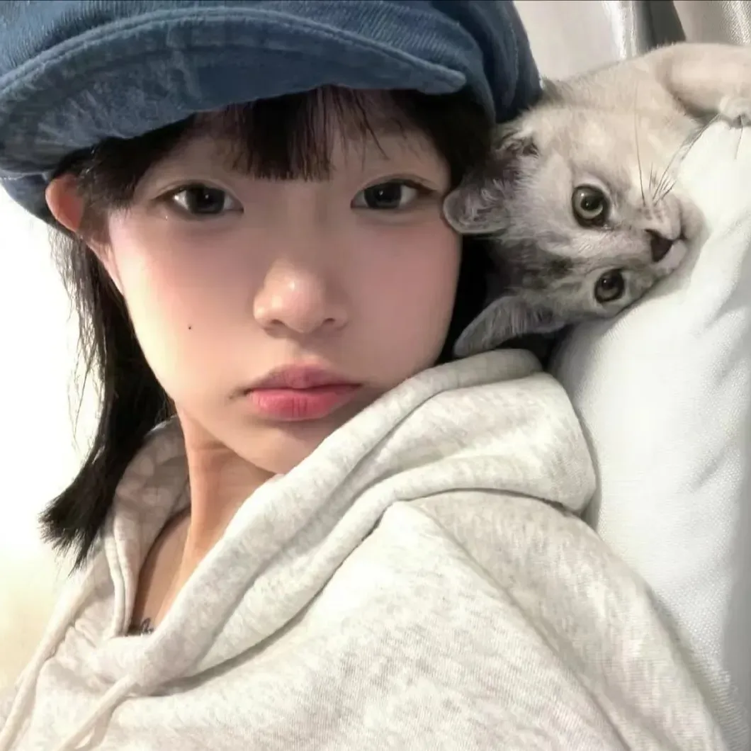热血动作爽剧《猎犬》全集在线：拳击手单挑高利贷黑帮，拳拳到肉的暴力美学